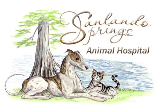 Sanlando Animal Hospital