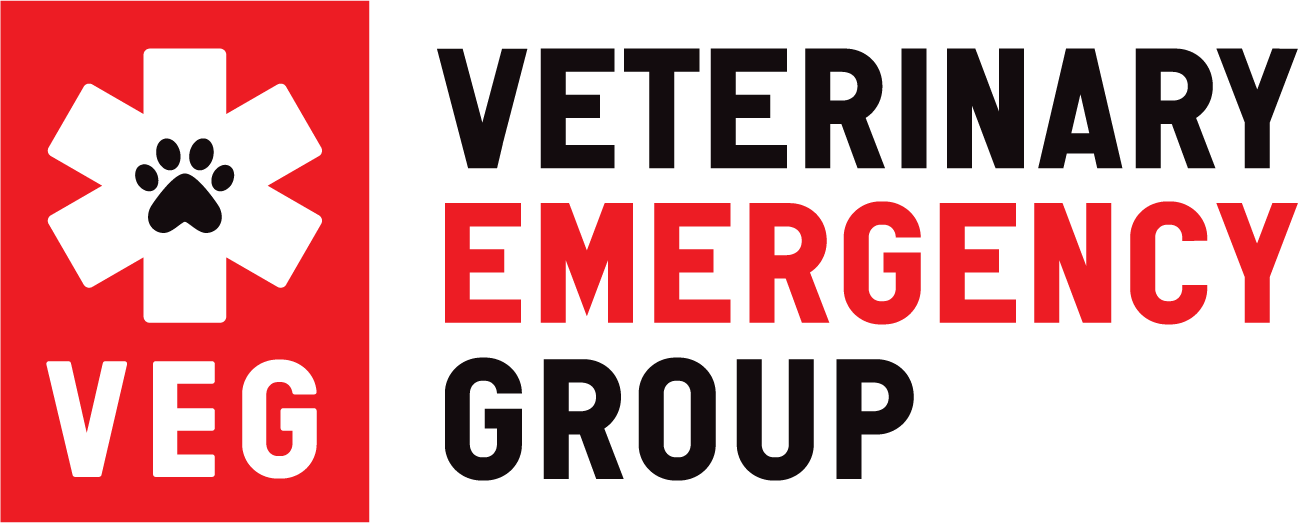 Vet Emergency Group